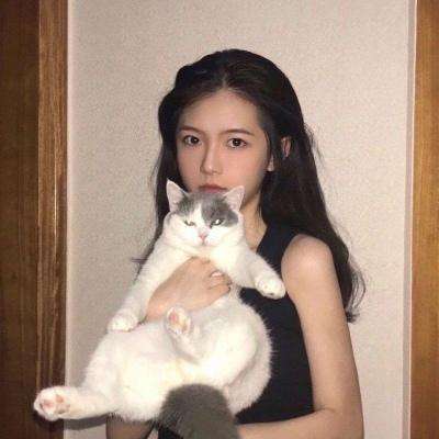 砰砰三国手机版下载